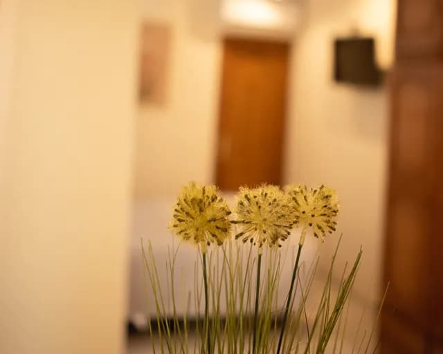 logo apartamentos turisticos