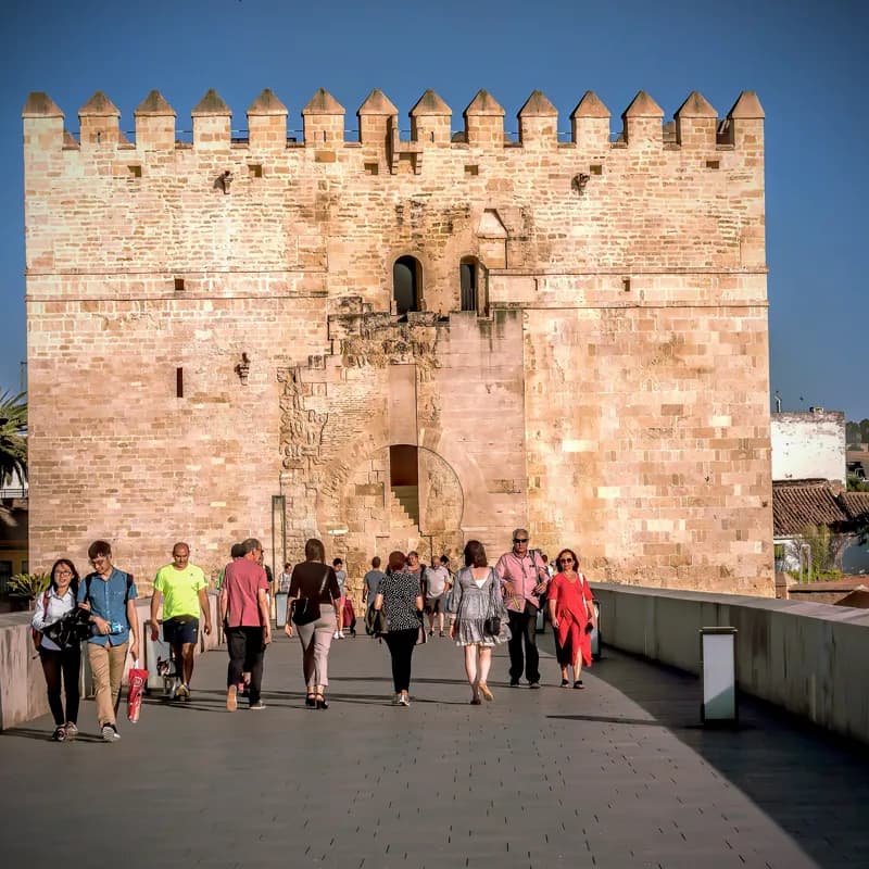 logo apartamentos turisticos